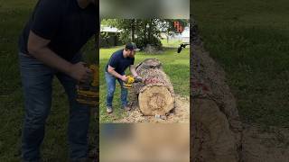 DeWALT FlexVolt Sawzall VS Huge Log [upl. by Yrailih]