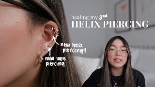 helix piercing aftercare  how i healed my helix piercing [upl. by Thgiwd]