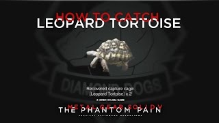 MGSV TPP  How To Catch The Leopard Tortoise [upl. by Aicissej]