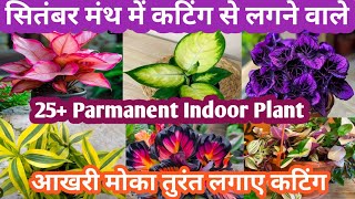 September Month मे कटिंग से लगने वाले 25 Colourfull Indoor Plant Parmanent Plant Grow By Cutting [upl. by Wachter]