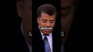 3 Most Important Questions 🤯 w Neil deGrasse Tyson [upl. by Tatum]