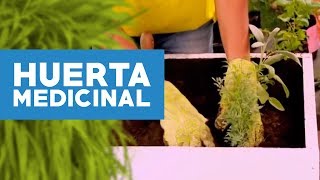 ¿Cómo hacer una huerta medicinal [upl. by Avrit817]