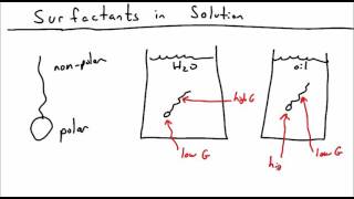 Introduction to Surfactants [upl. by Inihor141]