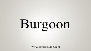 How To Say Burgoon [upl. by Lirbij]