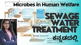 Sewage water Treatment Microbes in Human Welfare Important questions NEET kannada [upl. by Norej]