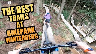 THE 3 BEST MTB TRAILS AT BIKEPARK WINTERBERG [upl. by Helena]