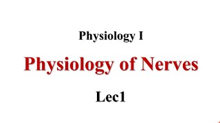 Physiology Of Nerve Lec1 Physiology I [upl. by Asabi46]