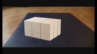 Trippy Illusion Cube [upl. by Braunstein]