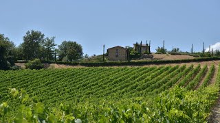 VIGNALE  Villas in Lecchi in Chianti Siena Tuscany [upl. by Sorkin101]