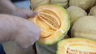 Dont eat precut cantaloupe if you dont know the brand CDC says as salmonella outbreak expands [upl. by Mcclenon44]