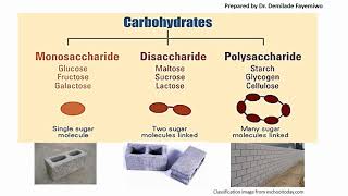 Chapter 21 Biological Molecules  Carbohydrates [upl. by Mychael]