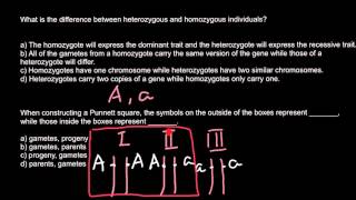 What is the difference between heterozygous and homozygous individuals [upl. by Dnana48]