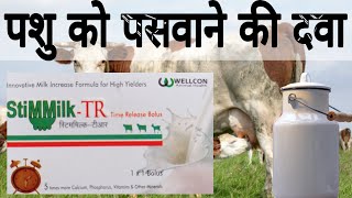 Stimmilk  TR Bolus Uses in Hindi  Cow milk increase  स्टिममिल्क  टी आर पशु को पसवाने के लिए [upl. by Warford]