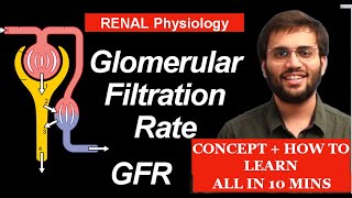 NEPHRON Structure amp Function Made Easy  Human Excretory System Simple Explanation [upl. by Cordle]