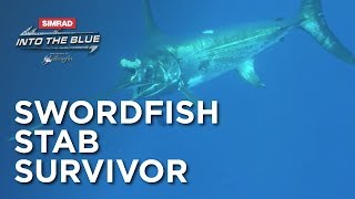 Swordfish Stab Survivor  Into The Blue [upl. by Enitsenrae]