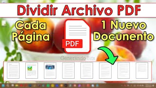 Dividir PDF por páginas cada hoja un archivo convertir documento separado [upl. by Claudia681]