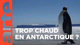 Panique en Antarctique  ARTE Décryptage [upl. by Farica]