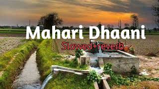 Mahari Dhaani main slowedreverb  Haryanvi song [upl. by Uriel]