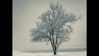 Der Lindenbaum aus Schuberts Winterreise [upl. by Cutler]