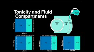 Tonicity and Fluid compartments anatomy osmolarity physiology solutions [upl. by Oemor261]