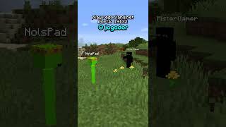 Admin abusando no meu servidor de Minecraft [upl. by Ilsa557]