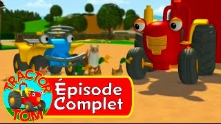 Tracteur Tom  52 Les Canards Sauvages épisode complet  Français [upl. by Anailil]