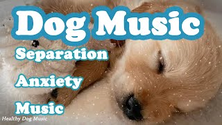 3 Hours of Anti Anxiety Music for Dogs Cure Separation Anxiety with Dog Music amp Dogs Calming Music [upl. by Nihhi]