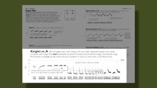 The Warbler Guide  Vocalizations [upl. by Gaidano722]