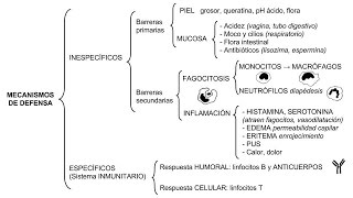 Neurofisiología  Visual  UBA  MEDICINA [upl. by Pretrice]