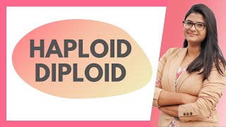 Haploid amp Diploid Explanation  Difference HINDI [upl. by Lewan]