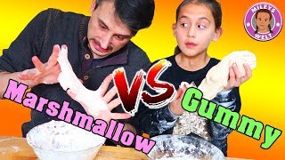 GUMMY VS MARSHMALLOW SLIME Challenge  Mileys Welt [upl. by Pollux]