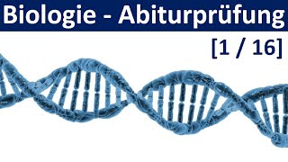 Biologie Abiturprüfung 2025  Tipps und Aufgabentypen 12  Abitur Biologie 116 [upl. by Destinee177]