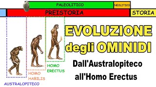 🐒➡🚶🏻‍♂️ LEVOLUZIONE DEGLI OMINIDI dallAustralopiteco allHomo Erectus 🔥 Storia Scuola Primaria [upl. by Enilaf55]