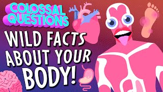 GROSS Things That Can Happen to Your Body If You Dont Take Care of it  COLOSSAL QUESTIONS [upl. by Aisa]