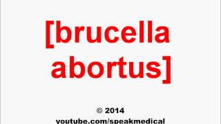 Pronounce Brucella abortus  SpeakMedical [upl. by Dazraf895]