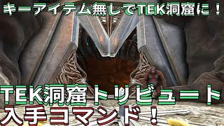 PS4 ARK キーアイテム無しでTEK洞窟開放！TEK洞窟トリビュート入手コマンド！で申し訳ございません♪ ARK [upl. by Zitvaa]