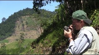 Solving a Geological Puzzle in Guatemala [upl. by Oyr]