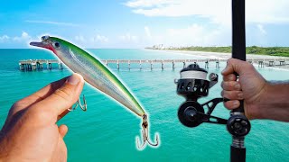 Catching Stud Pelagic Fish from Florida Pier [upl. by Irpac696]