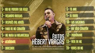 Hebert Vargas  Grandes Éxitos vallenato Romantico [upl. by Aemat]