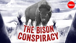 What killed all the bison  Andrew C Isenberg [upl. by Kosel]