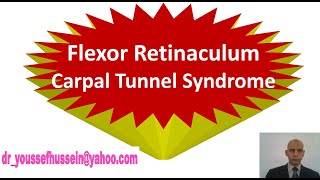 16 Flexor Retinaculum  Carpal Tunnel Syndrome [upl. by Iliak517]