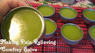 Making Comfrey Salve for Pain Relief 🌱 Easy and Beneficial [upl. by Ecidna]