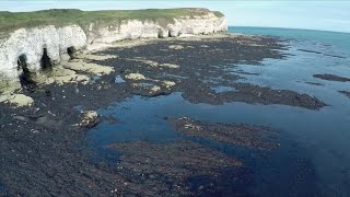 The 4 coastal processes of erosion with timeforgeographycouk [upl. by Rocray]