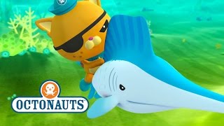 Octonauts Series 3 Compilation 1 [upl. by Genvieve]