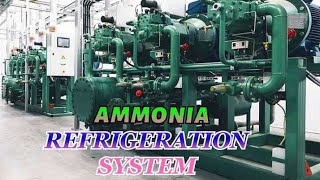 Ammonia Refrigeration System  How Its Work [upl. by Mcmillan]