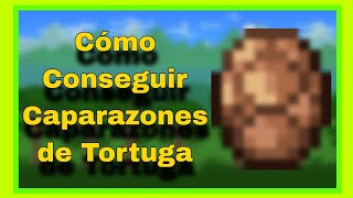 Cómo Conseguir Caparazón de Tortuga  Guía Terraria 143 [upl. by Noxin]