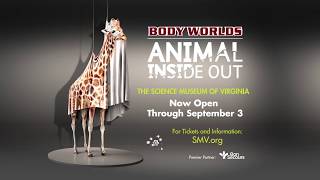 Science Museum of Virginia BODY WORLDS ANIMAL INSIDE OUT [upl. by Ardyaf]