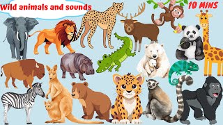 Learn Wild Animal Names and Sounds Smart Kids  MammalsAnimals for Children  Kids Learning Videos [upl. by Gnilyarg523]