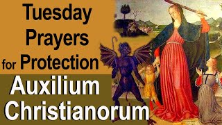 Tuesdays Auxilium Christianorum Prayers for Protection From the Enemy for Use by the Laity [upl. by Nedda]