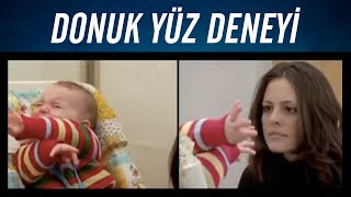 Tepkisiz Yüz Deneyi [upl. by Norrab]